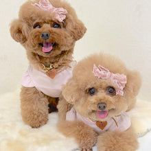 画像をギャラリービューアに読み込む, 組み編みカラー(マロン)