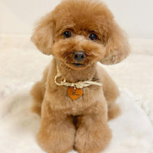 画像をギャラリービューアに読み込む, 組み編みカラー(ベージュ)