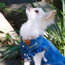 画像をギャラリービューアに読み込む, 組み編みカラー(ヌメ)