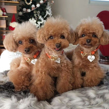 画像をギャラリービューアに読み込む, 組み編みカラー(オレンジ)