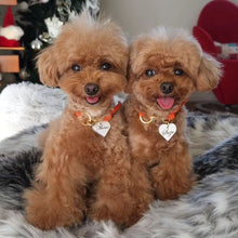 画像をギャラリービューアに読み込む, 組み編みカラー(オレンジ)