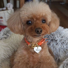 画像をギャラリービューアに読み込む, 組み編みカラー(オレンジ)