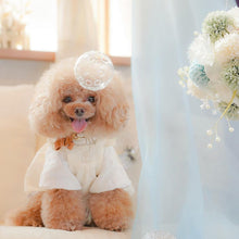 画像をギャラリービューアに読み込む, リボン(キャメル)