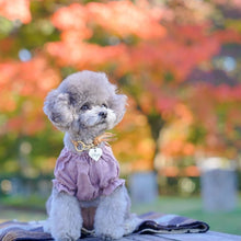 画像をギャラリービューアに読み込む, 組み編みカラー(マロン)