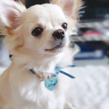 画像をギャラリービューアに読み込む, ネームチャーム(水色)