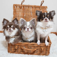 画像をギャラリービューアに読み込む, 組み編みカラー(ベージュ)