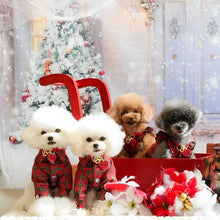 画像をギャラリービューアに読み込む, 組み編みカラー(赤)