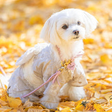 画像をギャラリービューアに読み込む, 組み編みカラー(ピンク)