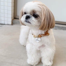 画像をギャラリービューアに読み込む, 組み編みカラー(マロン)