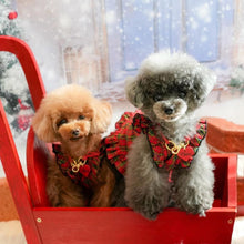 画像をギャラリービューアに読み込む, 組み編みカラー(赤)