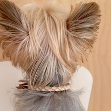 画像をギャラリービューアに読み込む, 組み編みカラー(ヌメ)