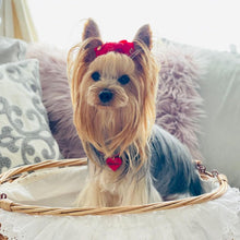 画像をギャラリービューアに読み込む, ネックレス(赤)