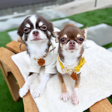 画像をギャラリービューアに読み込む, 組み編みカラー(黄色)