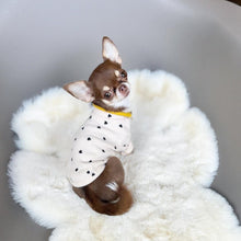 画像をギャラリービューアに読み込む, 組み編みカラー(黄色)