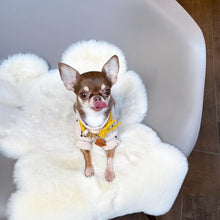 画像をギャラリービューアに読み込む, 組み編みカラー(黄色)