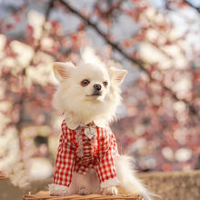 画像をギャラリービューアに読み込む, ネックレス(白)