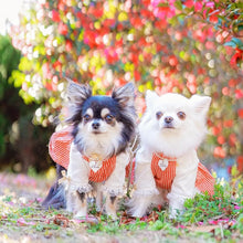 画像をギャラリービューアに読み込む, ネックレス(白)