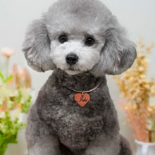 画像をギャラリービューアに読み込む, ネックレス(ヌメ)