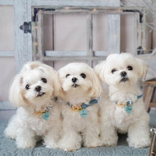 画像をギャラリービューアに読み込む, 組み編みカラー(水色)