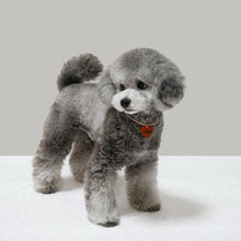 画像をギャラリービューアに読み込む, ネックレス(ヌメ)