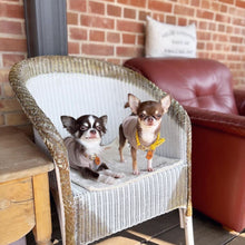 画像をギャラリービューアに読み込む, 組み編みカラー(黄色)