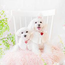 画像をギャラリービューアに読み込む, ネームチャーム(赤)