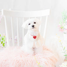 画像をギャラリービューアに読み込む, ネームチャーム(赤)