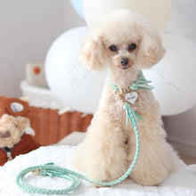 画像をギャラリービューアに読み込む, 組み編みカラー(ミントグリーン)