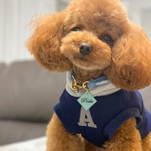 画像をギャラリービューアに読み込む, 組み編みカラー(水色)