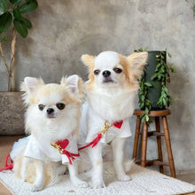 画像をギャラリービューアに読み込む, 組み編みリード(赤)