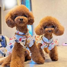 画像をギャラリービューアに読み込む, ハーネス(キャメル)