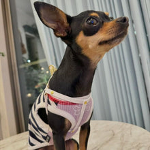 画像をギャラリービューアに読み込む, ハーネス(白)