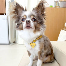 画像をギャラリービューアに読み込む, 組み編みカラー(黄色)