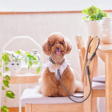 画像をギャラリービューアに読み込む, 組み編みカラー(グレー)