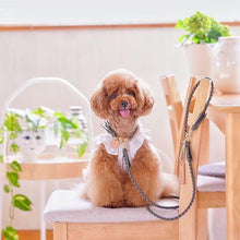 画像をギャラリービューアに読み込む, 組み編みリード(グレー)