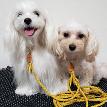 画像をギャラリービューアに読み込む, 組み編みリード(黄色)