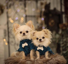 画像をギャラリービューアに読み込む, リボン(白)