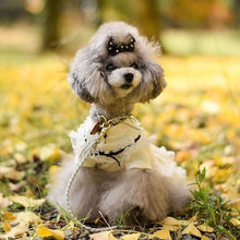 画像をギャラリービューアに読み込む, 組み編みカラー(シルバー)