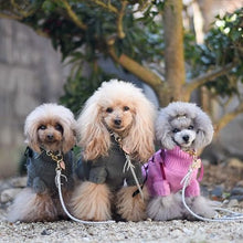 画像をギャラリービューアに読み込む, 組み編みリード(シルバー)