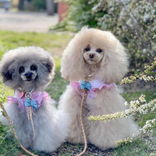 画像をギャラリービューアに読み込む, リボン(水色)