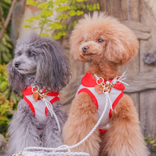 画像をギャラリービューアに読み込む, 組み編みリード(白)