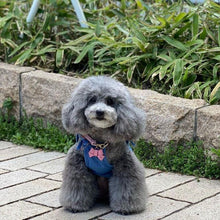 画像をギャラリービューアに読み込む, リボン(ピンク)