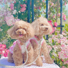 画像をギャラリービューアに読み込む, 組み編みリード(白)