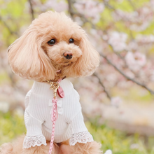 画像をギャラリービューアに読み込む, 組み編みリード(ピンク)