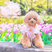 画像をギャラリービューアに読み込む, 組み編みリード(ベージュ)