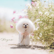 画像をギャラリービューアに読み込む, 組み編みカラー(ベージュ)