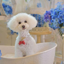 画像をギャラリービューアに読み込む, リボン(赤)