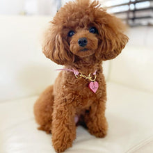 画像をギャラリービューアに読み込む, 組み編みカラー(ピンク)