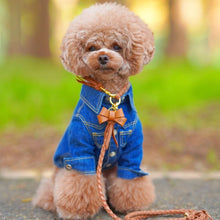 画像をギャラリービューアに読み込む, リボン(キャメル)