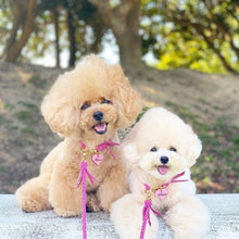 画像をギャラリービューアに読み込む, 組み編みカラー(フューシャピンク)